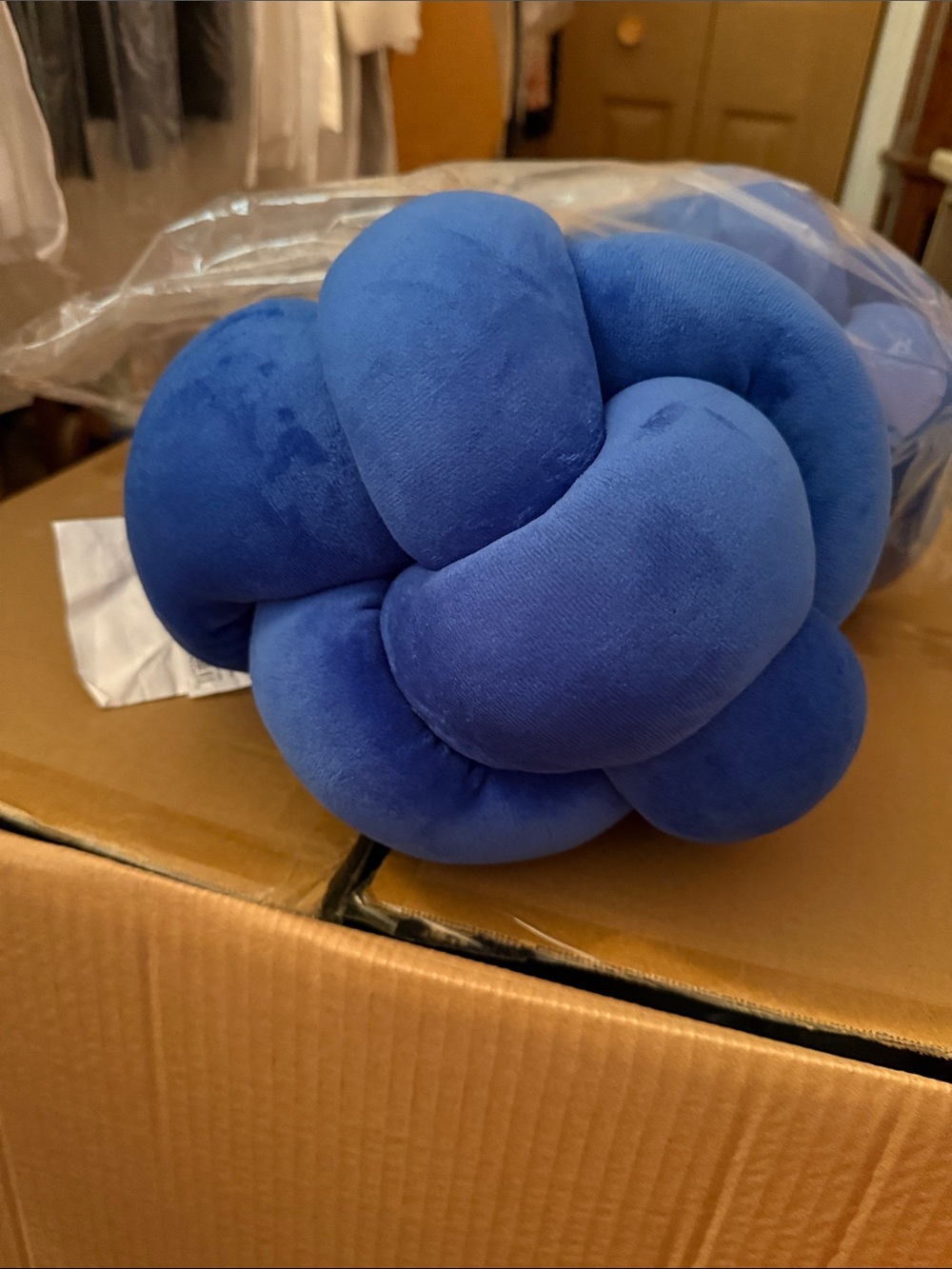 Room Essentials Blue Velvet Knot Toss Pillow